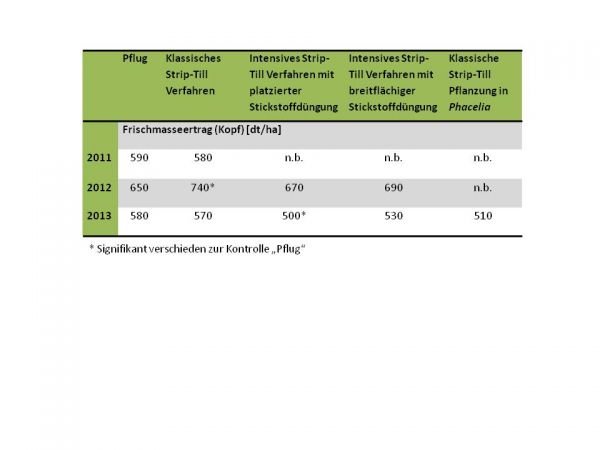 Weißkohlerträge in den Jahren 2011 bis 2013